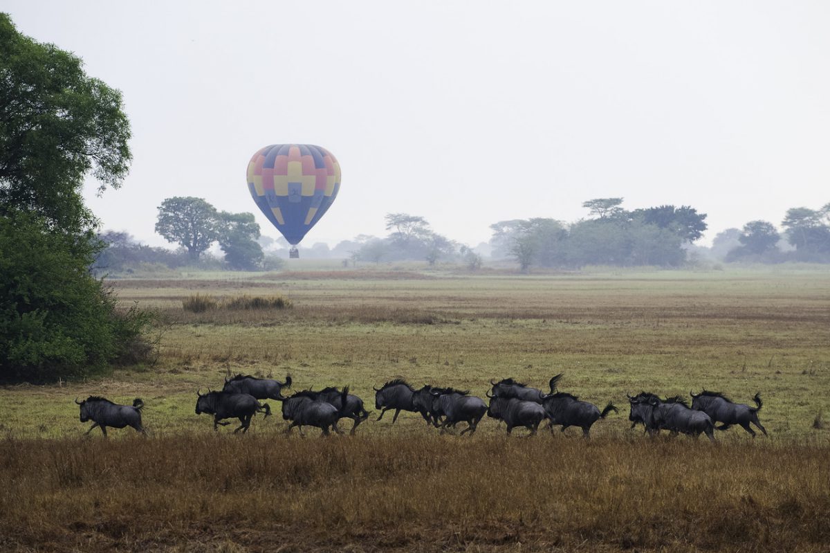 VOYAGE DE NOCES AFRIQUE SAFARIS ZAMBIE