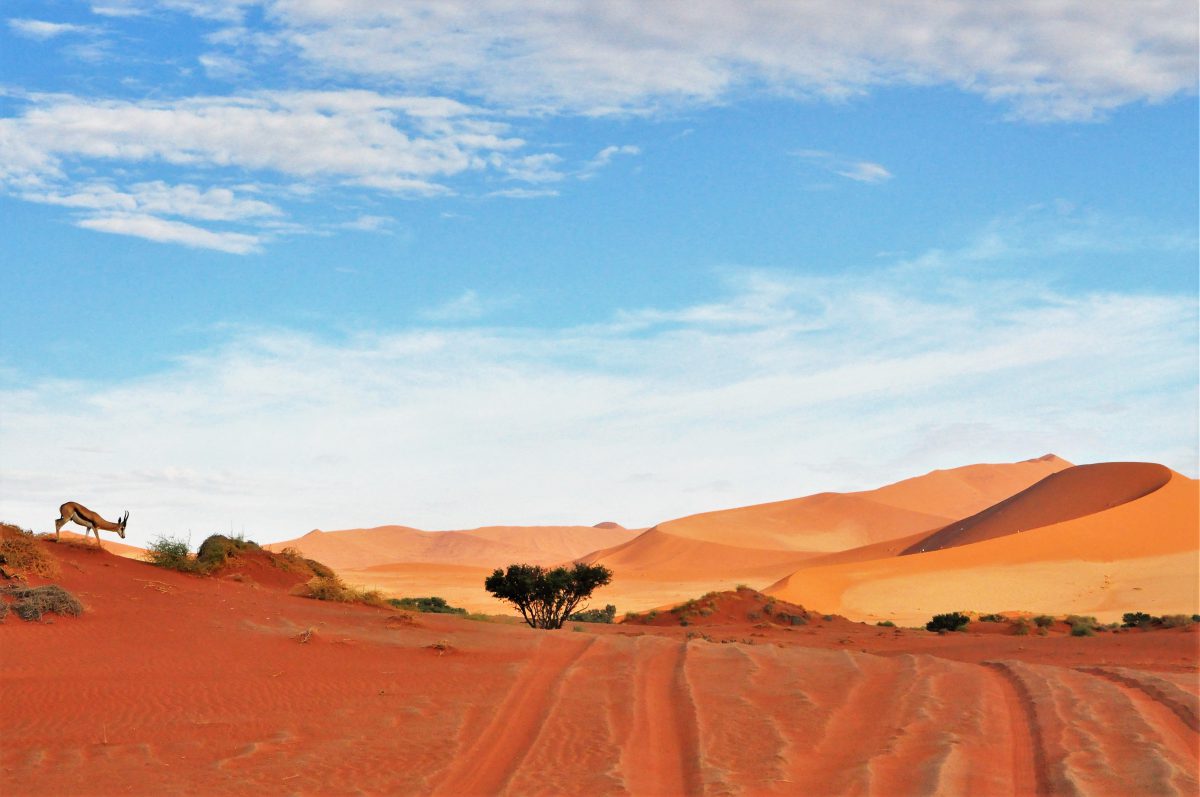 NAMIBIE-DESERT