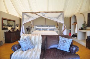 VOYAGE DE NOCES AFRIQUE SAFARIS ZAMBIE