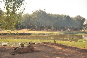 VOYAGE DE NOCES AFRIQUE SAFARIS ZAMBIE