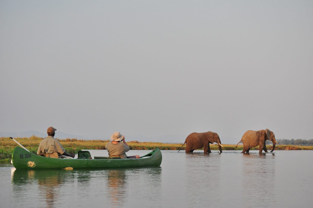 SAFARI EN BATEAU ZAMBEZE