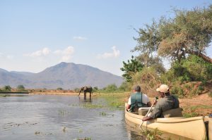 safari en canoe sur le Zambeze Afrique