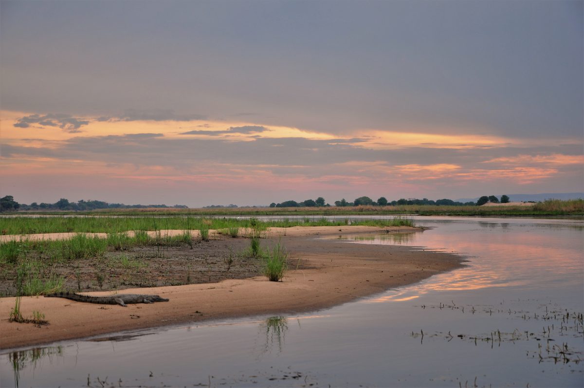 SAFARI CANOE AFRIQUE ZAMBEZE