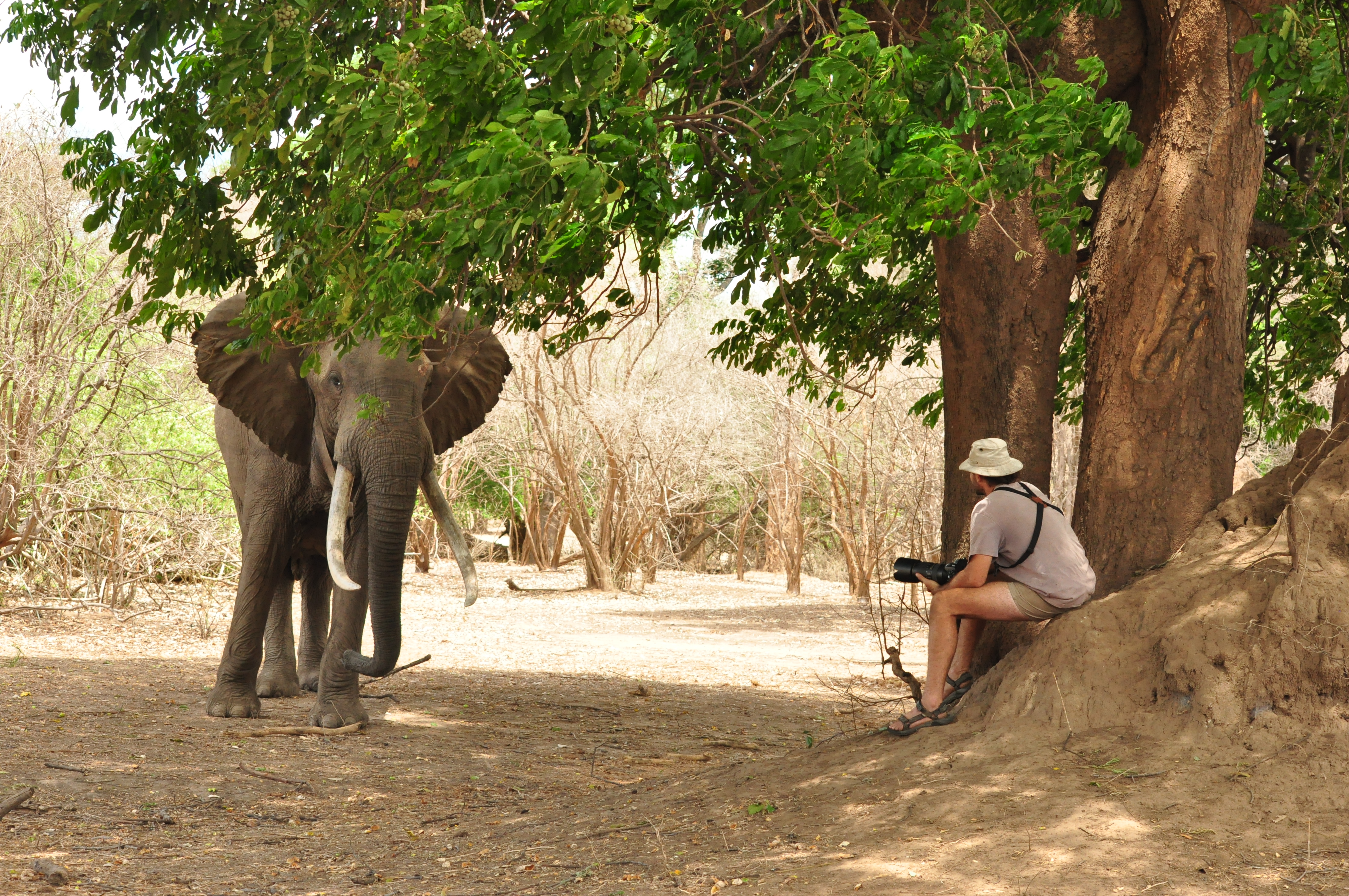 GUIDE FRANCAIS SAFARI AFRIQUE AUSTRALE