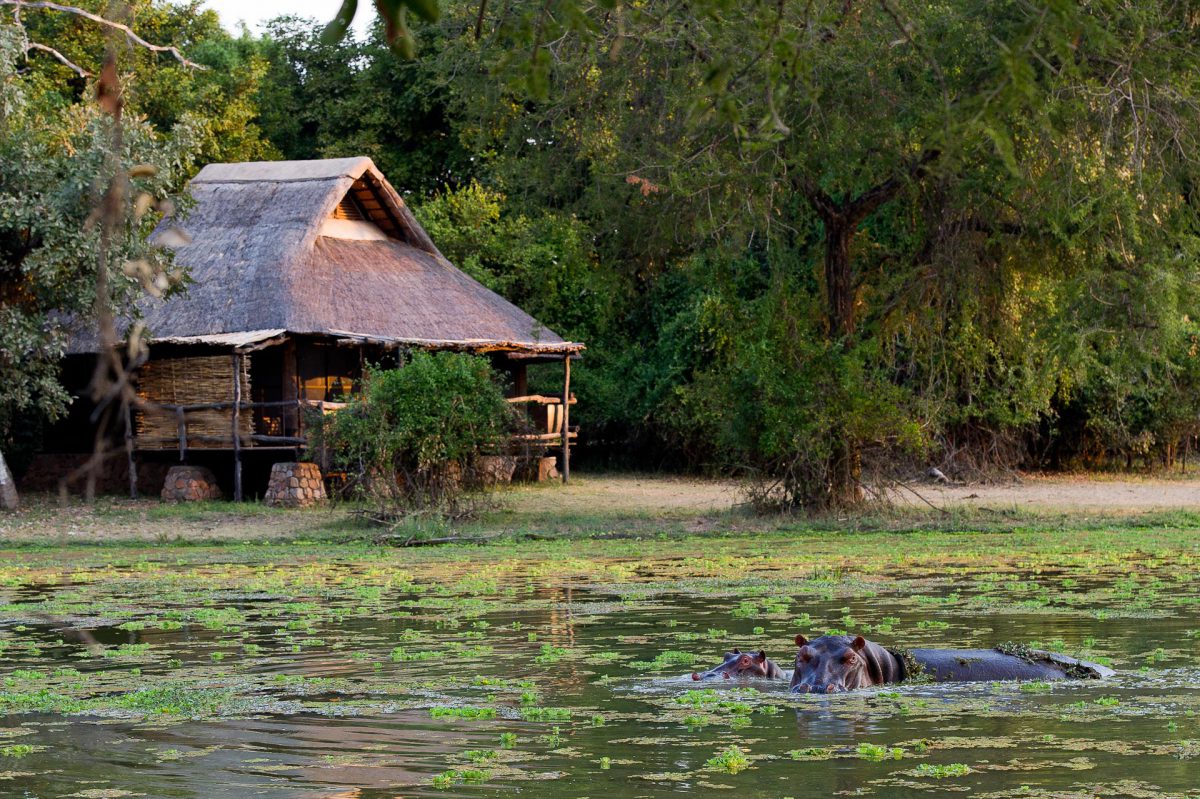 safaris famille afrique zambie