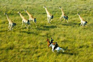 SAFARIS SPORT AFRIQUE EQUITATION