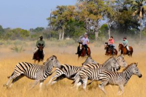 SAFARIS ET SPORTS EN AFRIQUE
