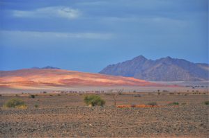 CIRCUIT EN NAMIBIE