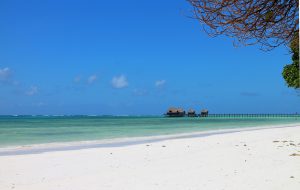 circuit tanzanie zanzibar