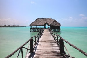 ZANZIBAR AFRIQUE SAFARIS ET PLAGES
