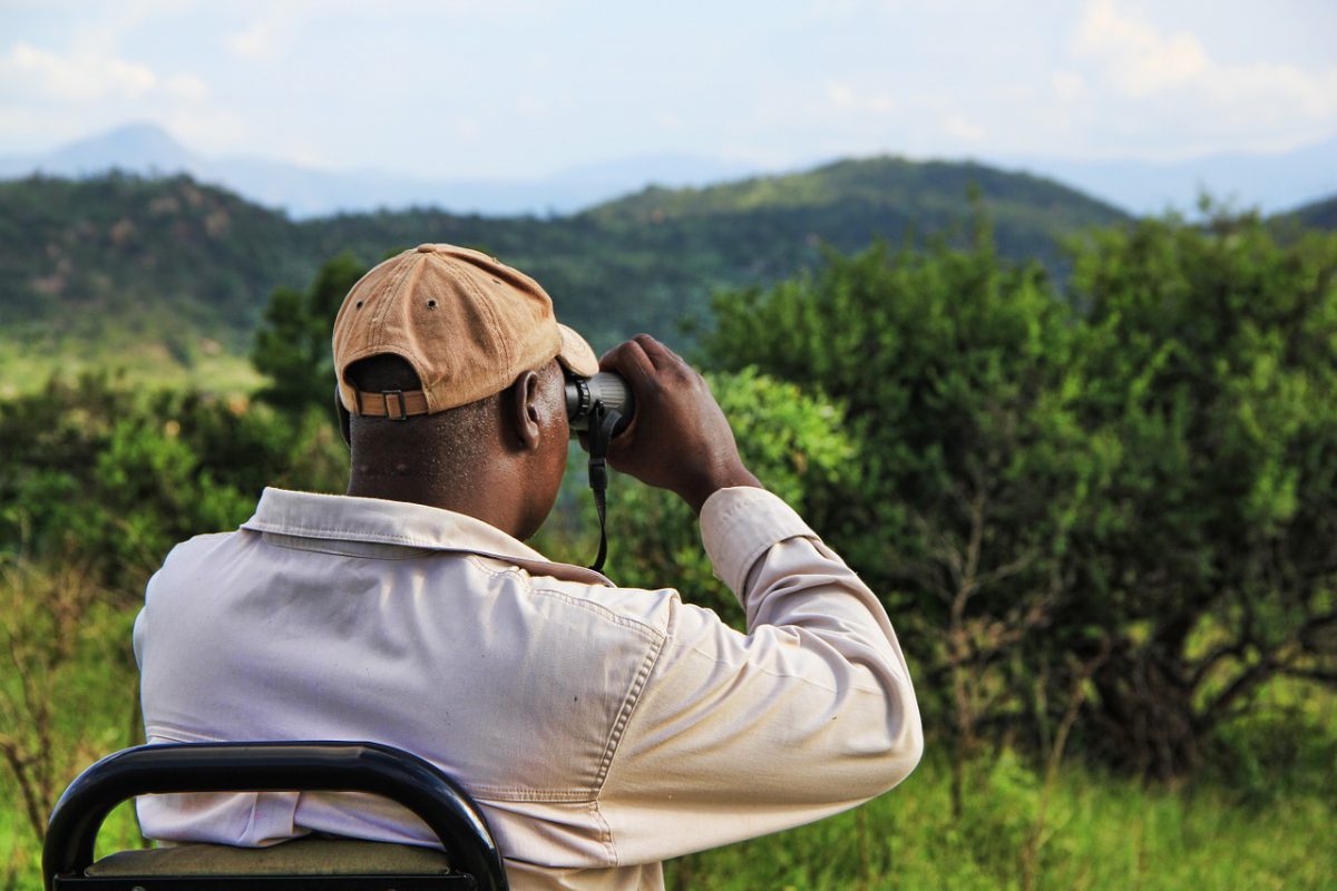 SAFARI AFRIQUE DU SUD