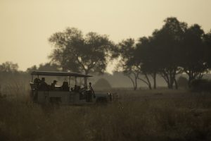 safari photo afrique du sud kruger guide francais