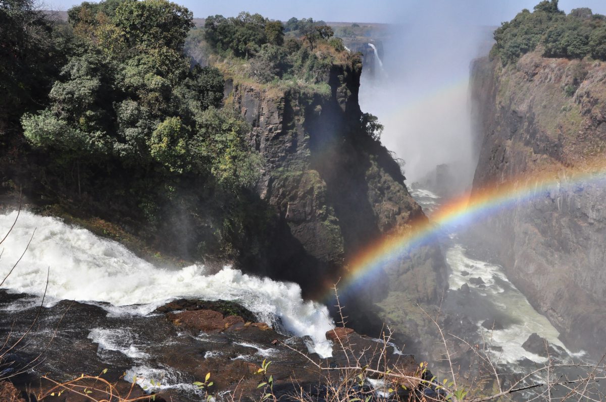 safari photographique chutes victoria