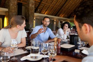 guide route des vins afrique du sud oenologue