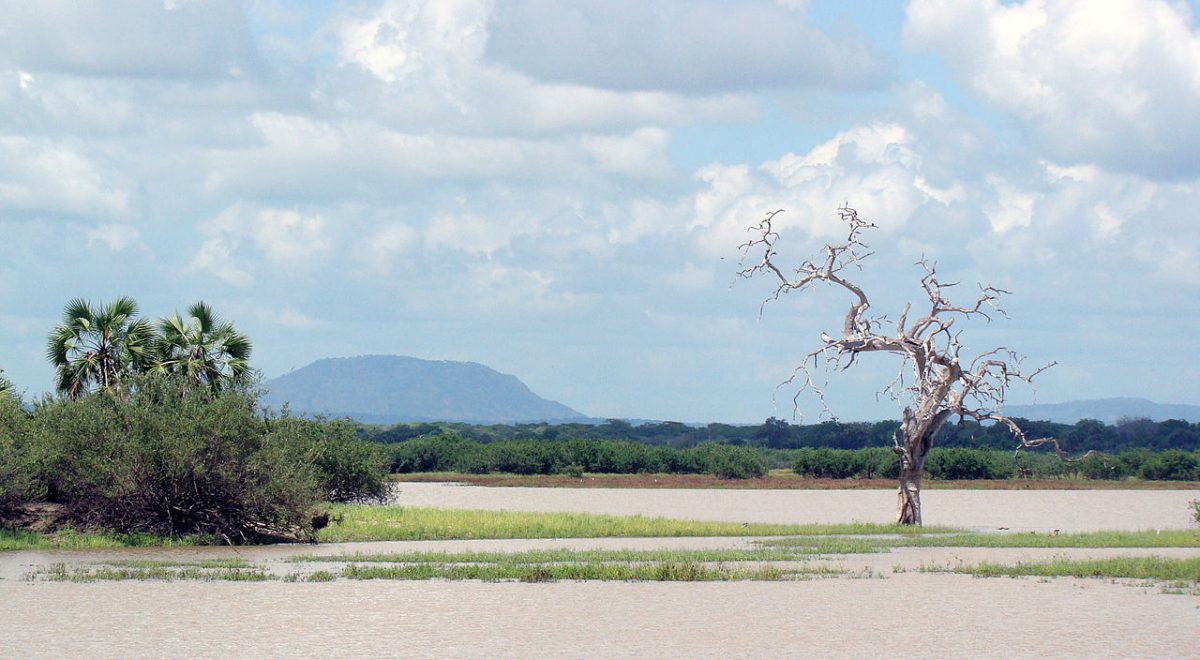 safari-tanzanie-luxe