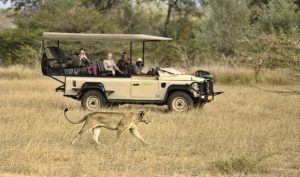 safari-tanzanie-luxe