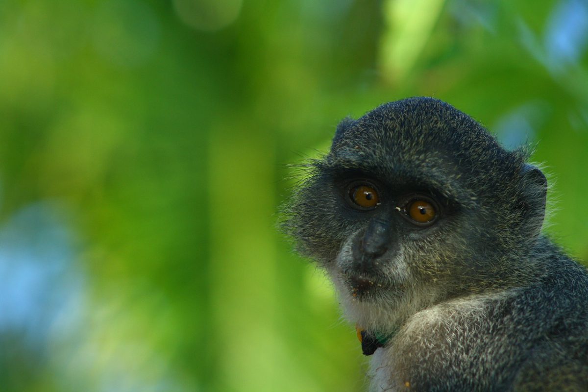 voyage-zanzibar-afrique