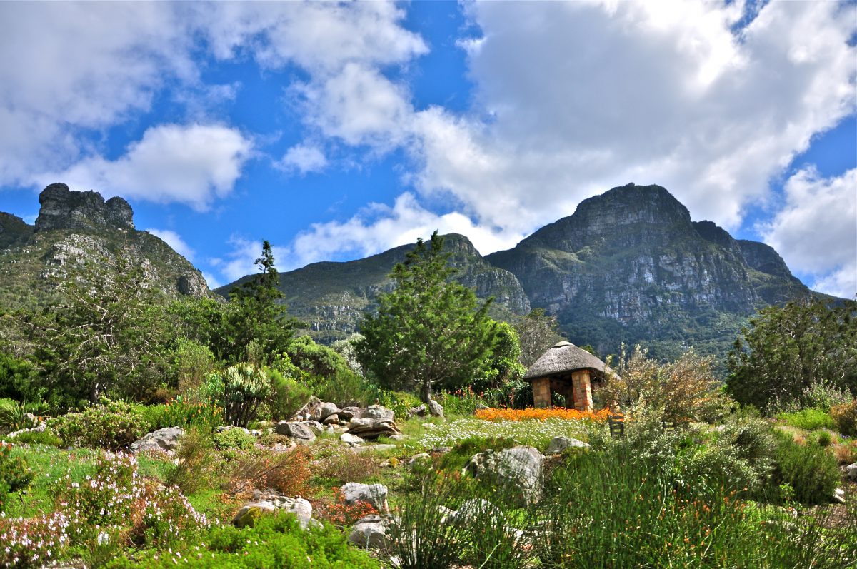 jardin-de-kirstenbosch-le-cap-afrique-du-sud