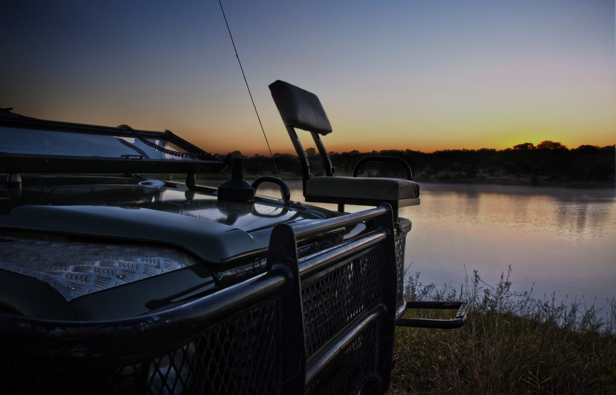 safari-photo-afrique-du-sud-kruger 4*4