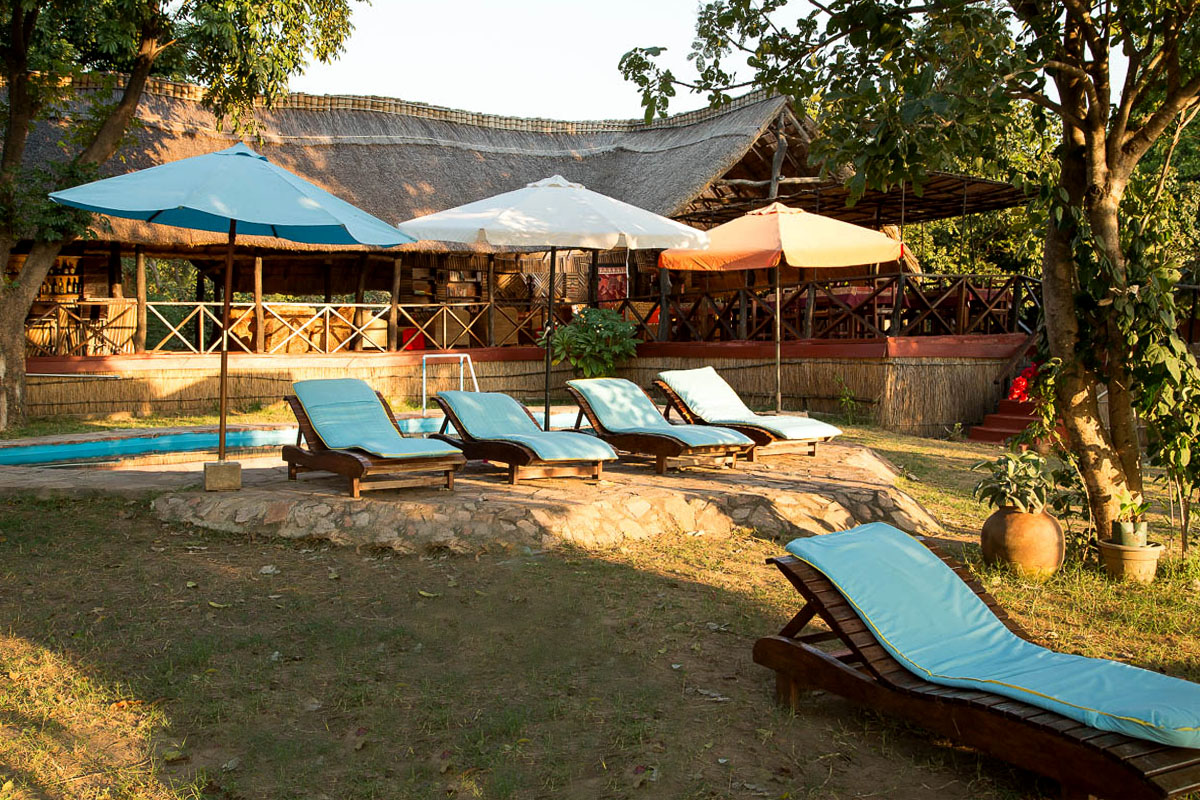 safari-photographique-zambie-lodge