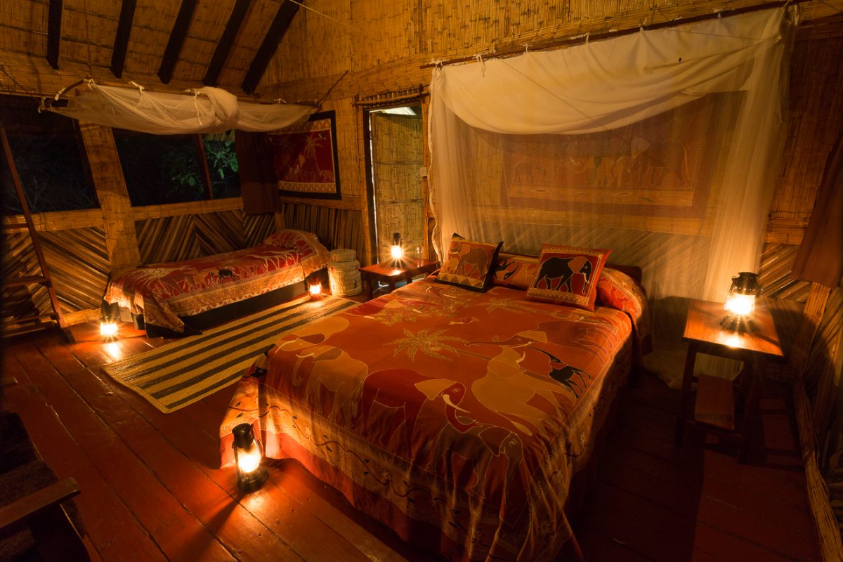 safari-photographique-chalet-lodge-zambie