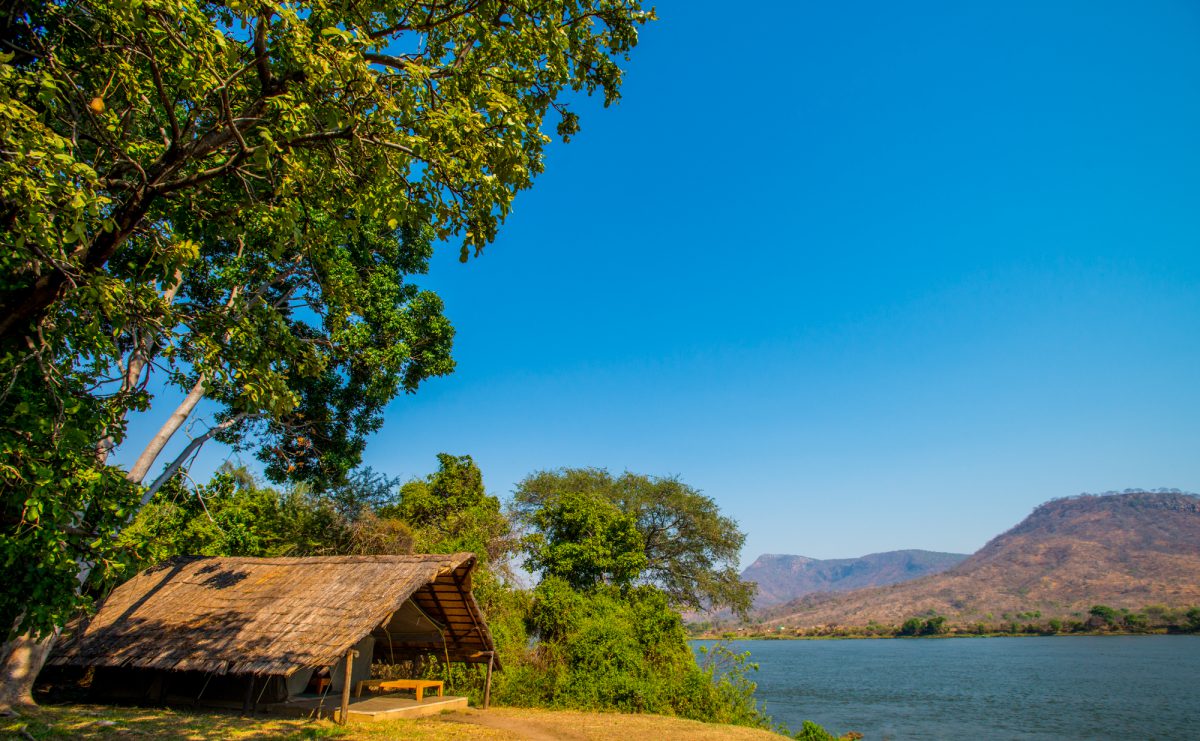 safari en bateau Zambeze afrique