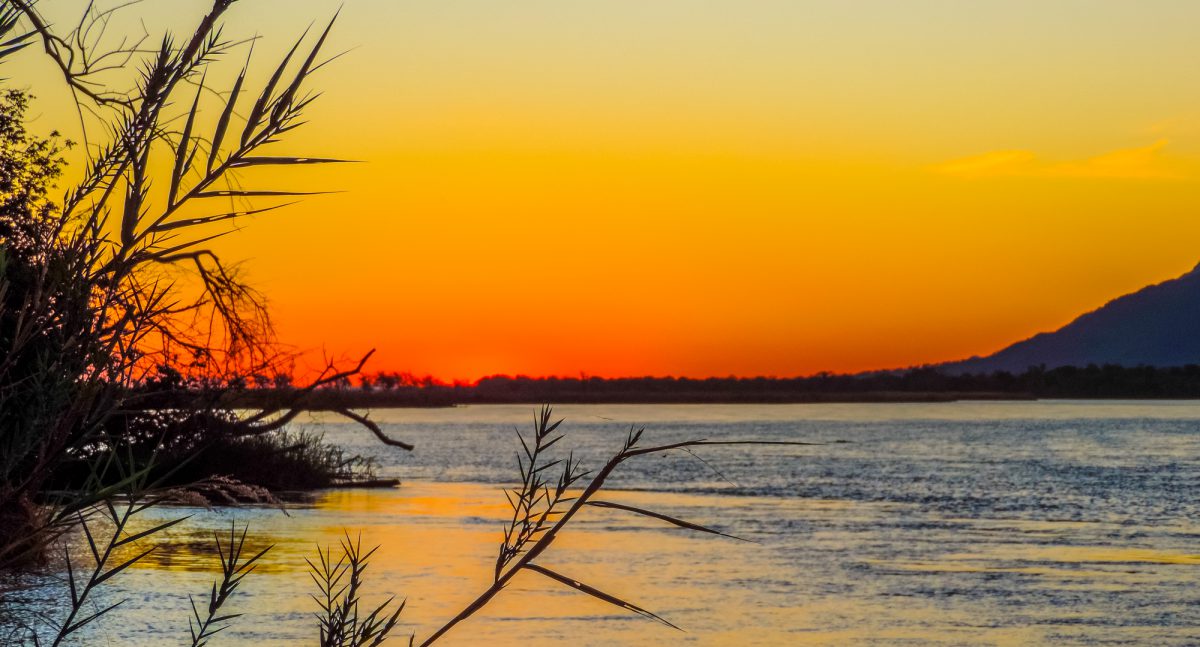 safari en bateau Zambeze afrique