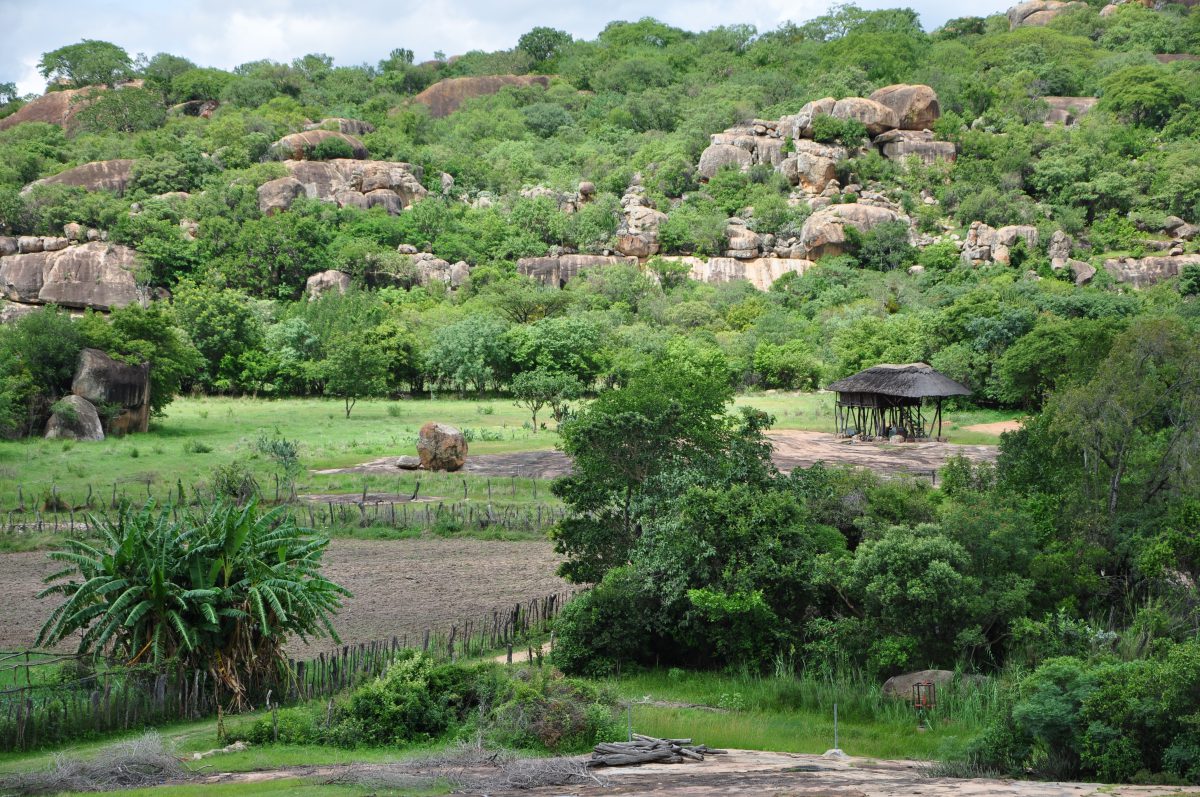 parc de matopos-zimbabwe-afrique