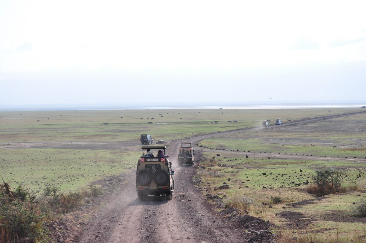 tanzanie-safari- serengeti