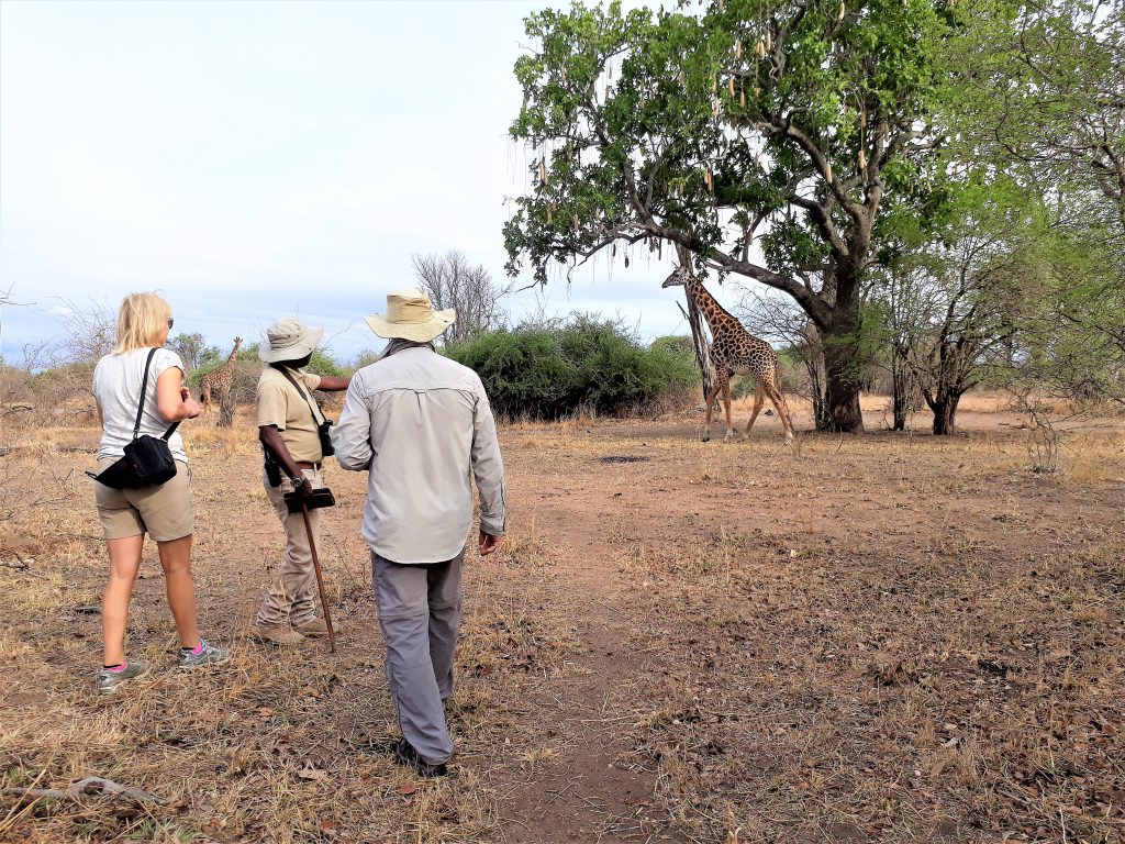 SAFARIS A PIED AFRIQUE ZAMBIE ZAZU VOYAGE