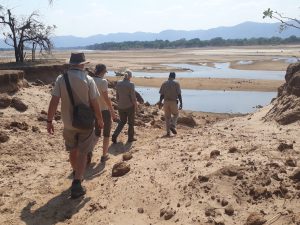 SAFARI A PIED ZAMBIE AFRIQUE