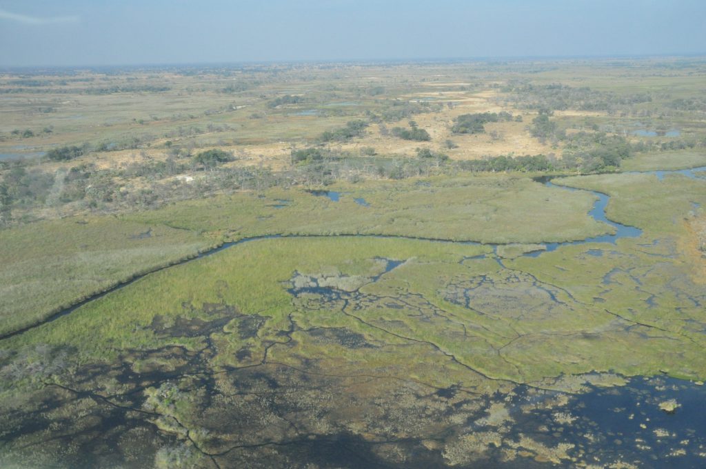 Delta de l' Okavango Botswana