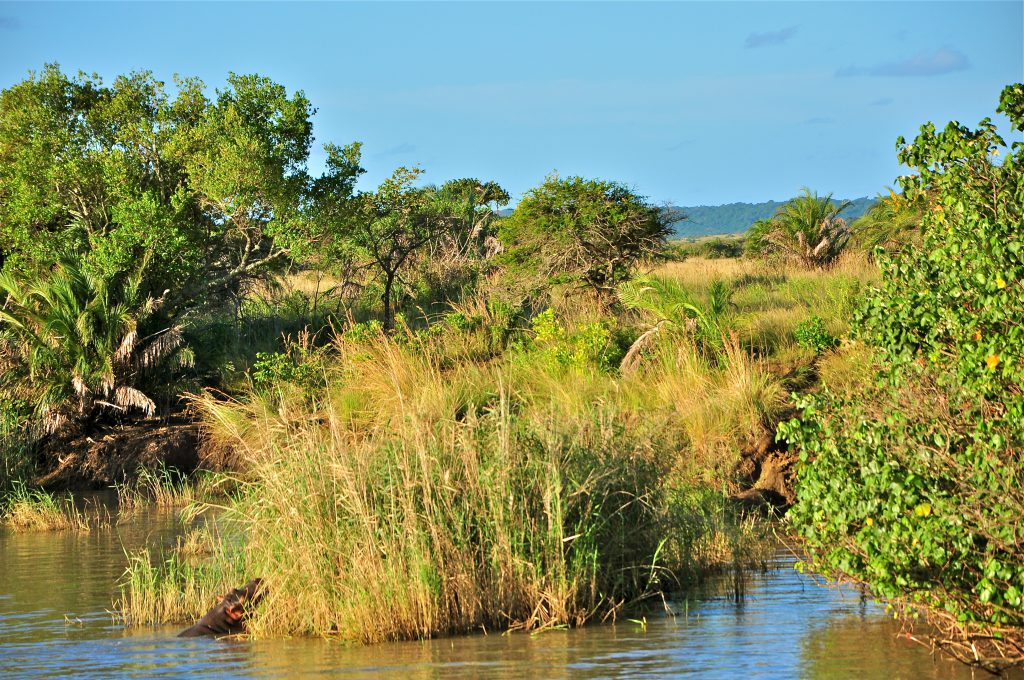 Isimangaliso- South Africa