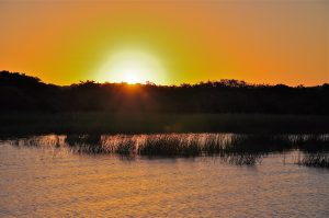 Isimangaliso- South Africa