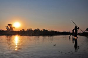 Delta de l' Okavango Botswana