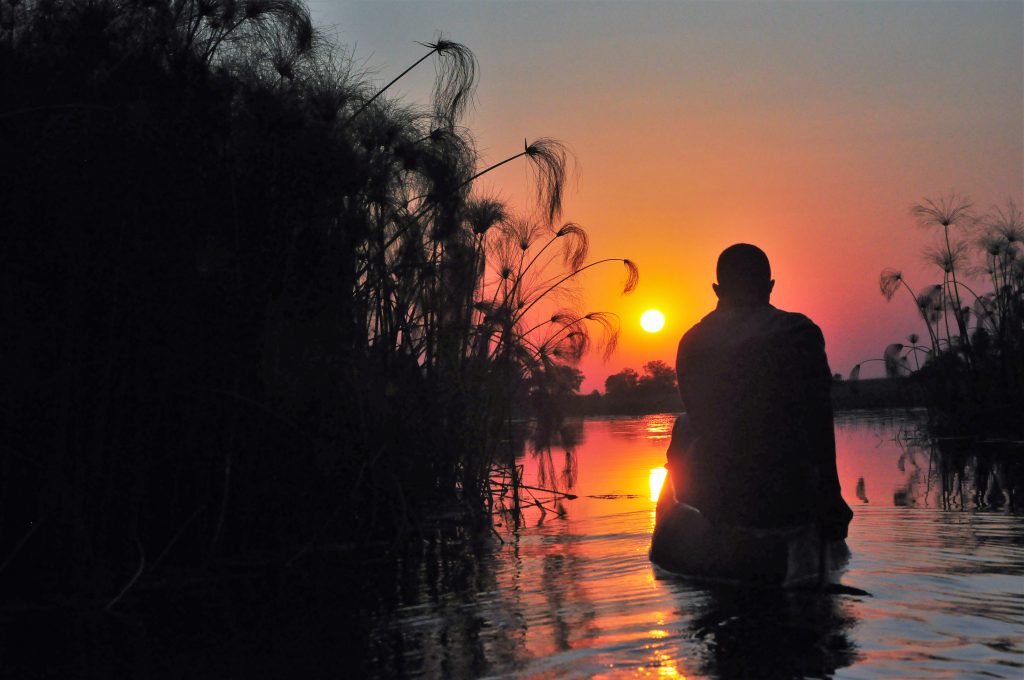 Delta de l' Okavango Botswana