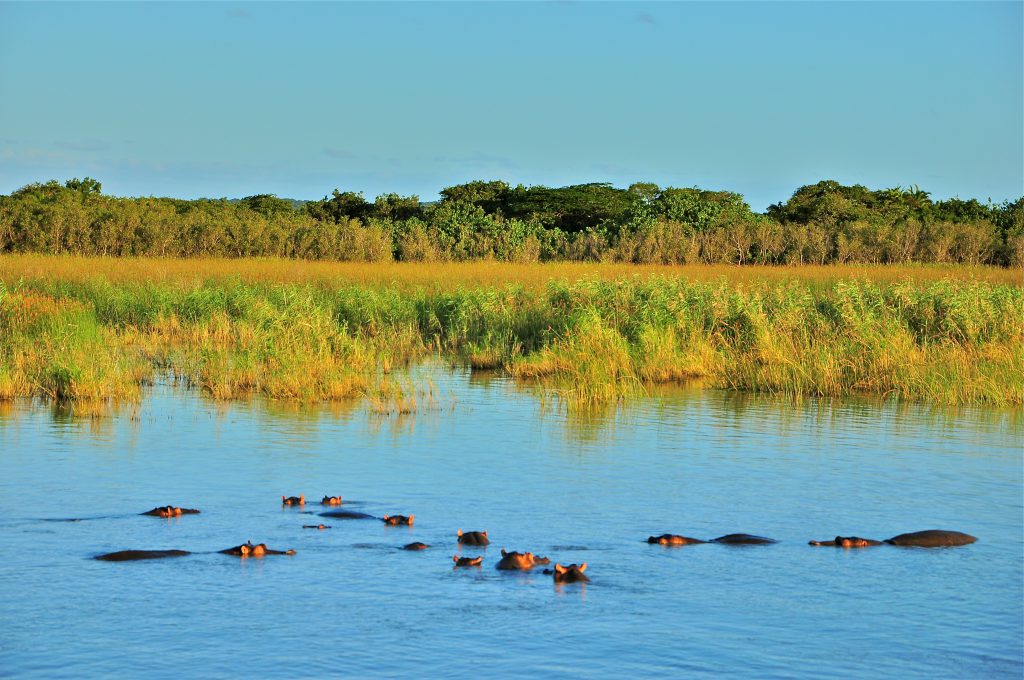 st lucia ISIMANGALISO