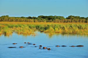 st lucia ISIMANGALISO