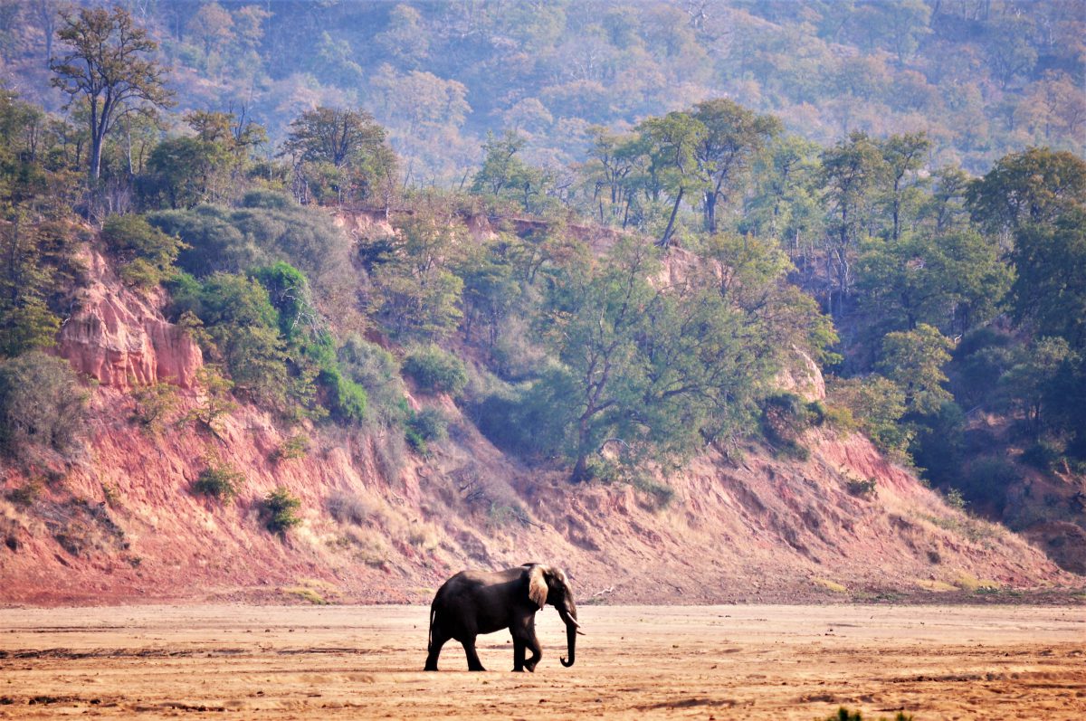 parc de gonarezhou zimbabwe