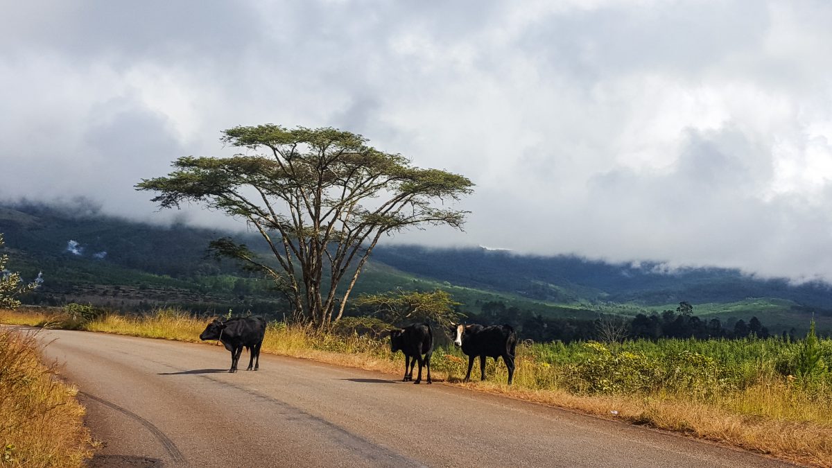 Eastern Highlands, Zimbabwe