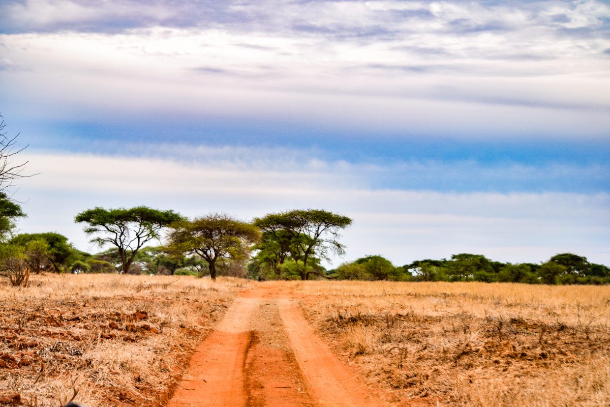 Malilangwe Gonarezhou Zimbabwe