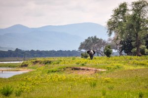 MANA POOLS ZIMBABWE SAISON DES PLUIES