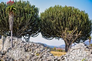 Great Zimbabwe