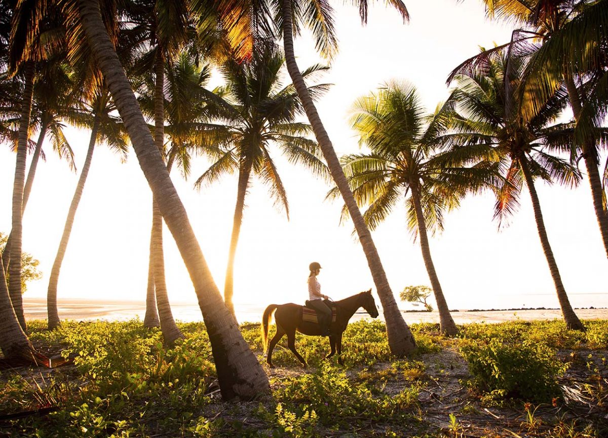 BALADE A CHEVAL VILANCULOS