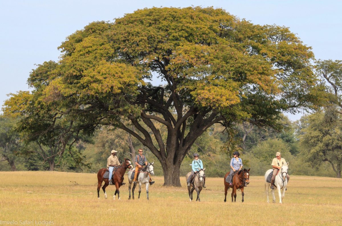 VOYAGE DE NOCES BOTSWANA ZIMBABWE ZAZU VOYAGE