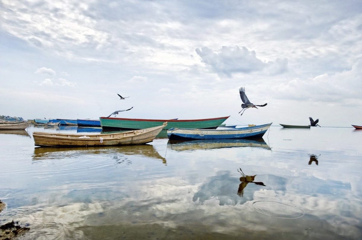 lake-albert-Zazu Voyage