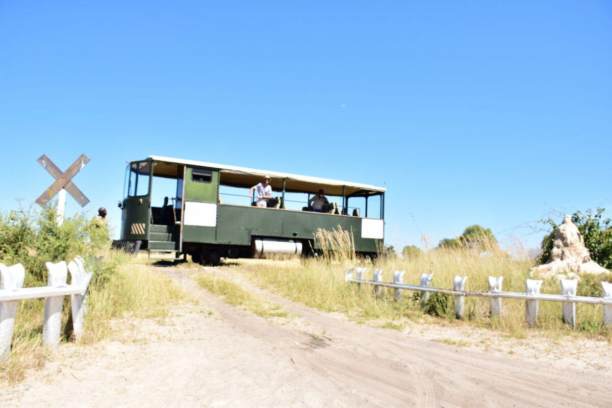 ELEPHANT EXPRESS TRAIN HWANGE ZIMBABWE ZAZU VOYAGE