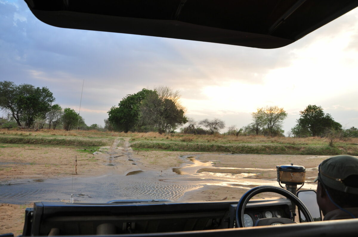 chindeni-safari-south-luangwa-zambia-zazu-voyage.