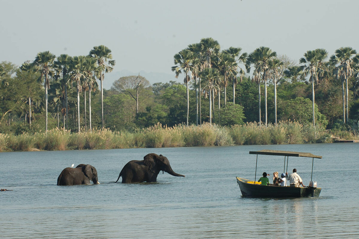 mvuu-camp-malawi-zazu-voyage