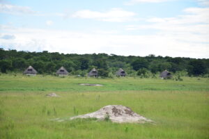 SABLE SANDS HWANGE SAISON VERTE